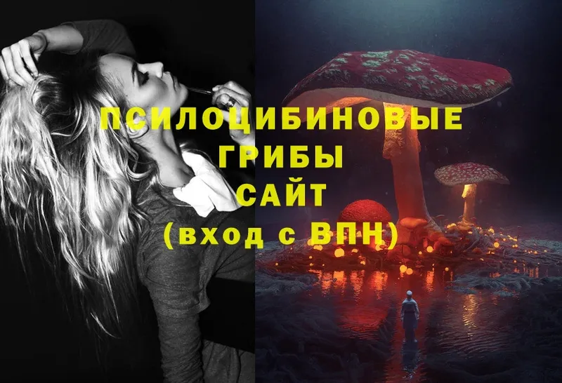 Псилоцибиновые грибы Magic Shrooms  Владимир 